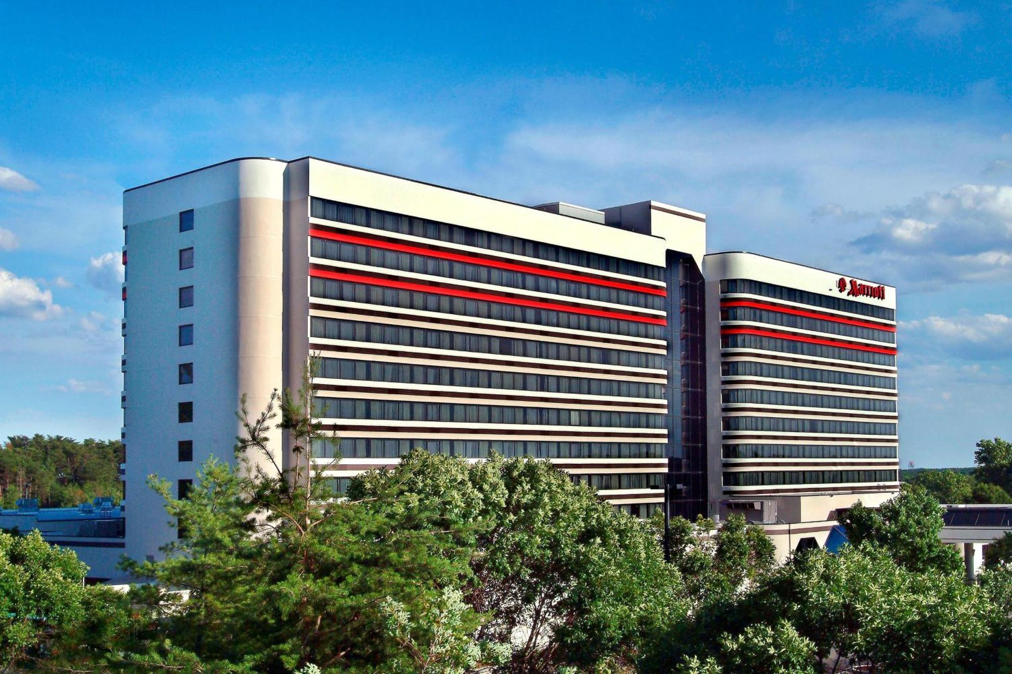 BWI Airport Marriott Hotel Linthicum Exterior photo